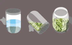 Super Sprouter Germinator -Hema Shop 000142 2