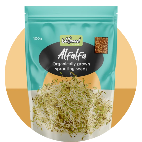 Alfalfa Organic Sprouting Seeds 100g 4 Alfalfa Organic Sprouting Seeds 100g - Image 2