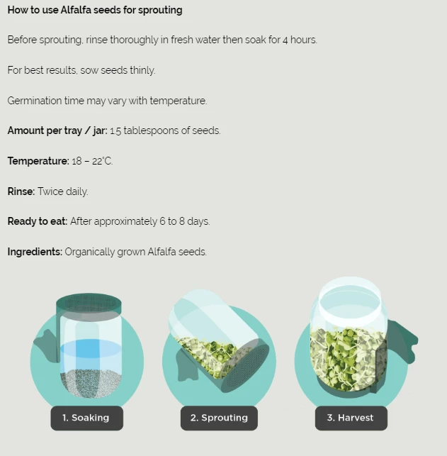 Alfalfa Organic Sprouting Seeds 100g 5 Alfalfa Organic Sprouting Seeds 100g - Image 3