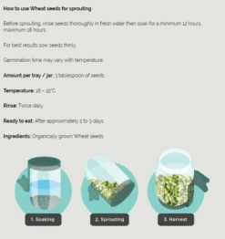 Wheat Organic Sprouting Seeds 100g -Hema Shop 000548 2