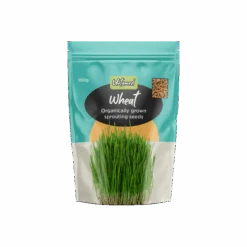 Wheat Organic Sprouting Seeds 100g