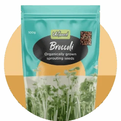 Broccoli Organic Sprouting Seeds 100g -Hema Shop 000555 1