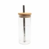 Glass Tumbler With Stainless Steel Straw
