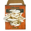 Oyster Mushroom Grow Kit