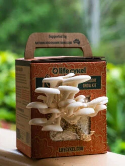 Oyster Mushroom Grow Kit -Hema Shop 401765 2