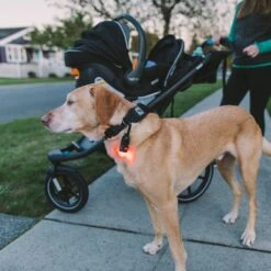 Gear Aid Carabiner Light Kit -Hema Shop 80710 2