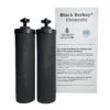 Black Berkey® Purification Elements 1 Pair (2) -Hema Shop BlackBerkeyPair
