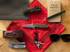 Gerber Fastball Folding Knife -Hema Shop GE30001610 4