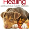 Animal Healing With Australian Bush Flower Essences
