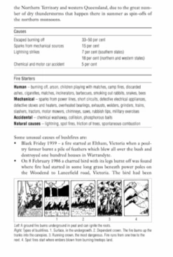 The Complete Bushfire Safety Book By Joan Webster 7 The Complete Bushfire Safety Book By Joan Webster -Hema Shop ISBN1 74051 034 8 1