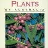 Wild Food Plants Of Australia By Tim Low -Hema Shop ISBN978 0 2071 6930 4