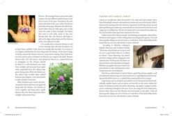 The Modern Herbal Dispensatory By Thomas Easley & Steven Horne -Hema Shop ISBN978 1 62317 079 0 3