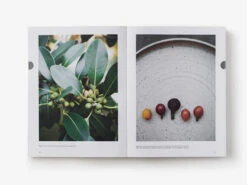 Eat Weeds By Diego Bonetto -Hema Shop ISBN978 1 760 76376 3 2