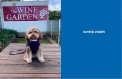 Travelling With Pets On Australia's East Coast 5th Edition -Hema Shop ISBN978 1 925868 34 0 1