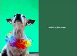 Travelling With Pets On Australia's East Coast 5th Edition -Hema Shop ISBN978 1 925868 34 0 3