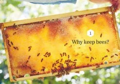 Backyard Bees By Doug Purdie -Hema Shop ISBN978 1922351685 2