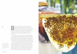 Backyard Bees By Doug Purdie -Hema Shop ISBN978 1922351685 3