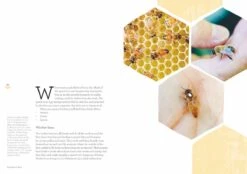 Backyard Bees By Doug Purdie -Hema Shop ISBN978 1922351685 4