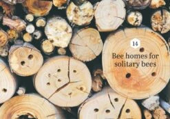Backyard Bees By Doug Purdie -Hema Shop ISBN978 1922351685 5