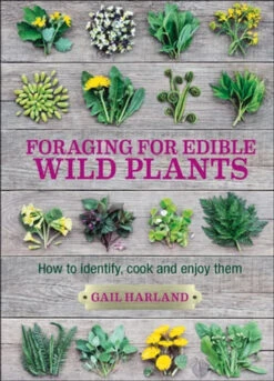 Foraging For Edible Wild Plants By Gail Harland