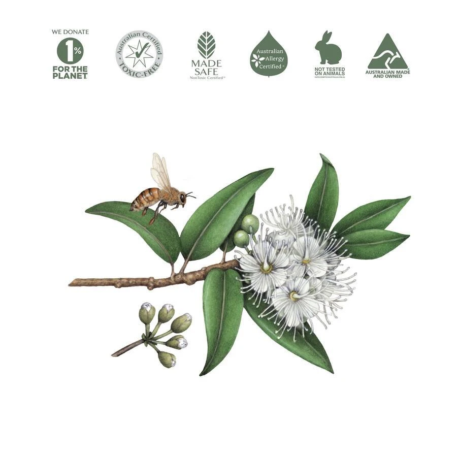 Natural Dish Soap With Essential Oil 4 Natural Dish Soap With Essential Oil - Image 2