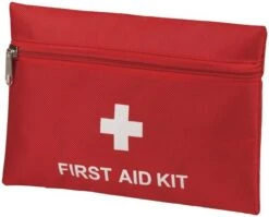 18 Piece First Aid Kit