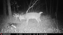 Stealth Cam Fusion Cellular Trail Camera -Hema Shop STC FGLB 3