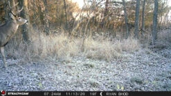 Stealth Cam Fusion Cellular Trail Camera -Hema Shop STC FGLB 4