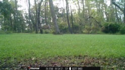 Stealth Cam Fusion Cellular Trail Camera -Hema Shop STC FGLB 5