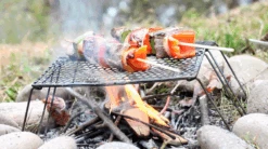 Vargo Titanium Bi Fold Grill -Hema Shop T 488